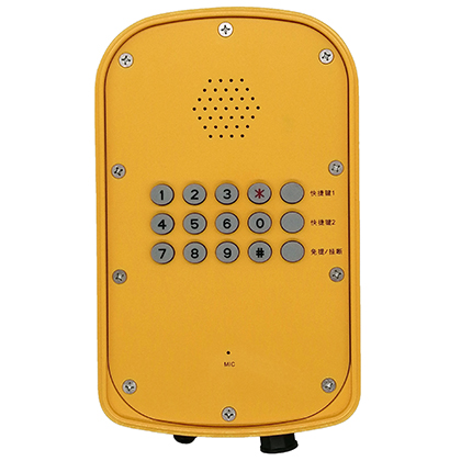 工業(yè)防水電話機-定制型產品系列